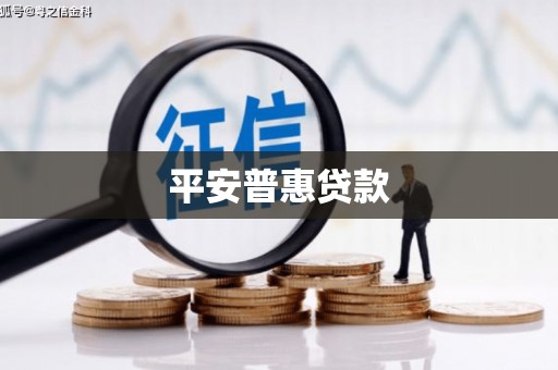八里平安普惠贷款