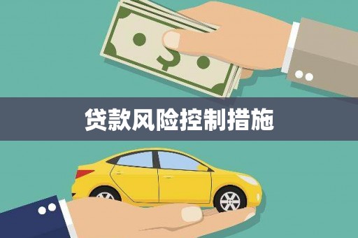 八里贷款风险控制措施