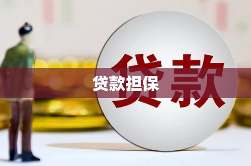 八里贷款担保