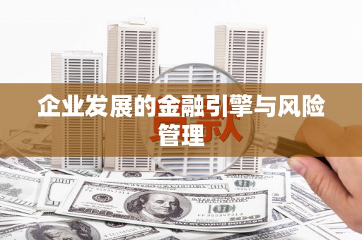 八里企业发展的金融引擎与风险管理