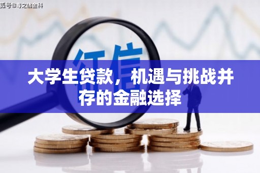 八里大学生贷款，机遇与挑战并存的金融选择