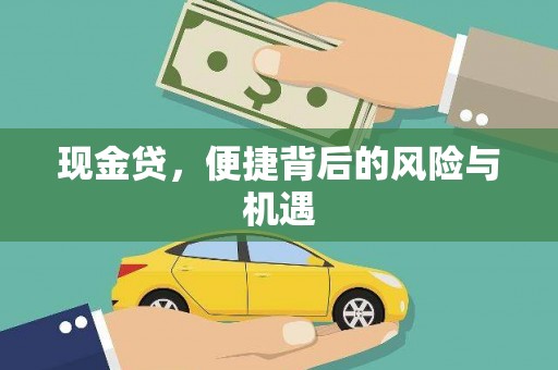 八里现金贷，便捷背后的风险与机遇