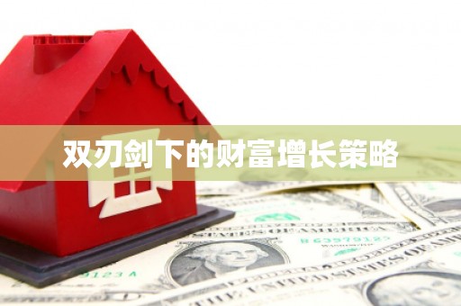 八里双刃剑下的财富增长策略