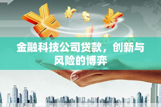 八里金融科技公司贷款，创新与风险的博弈
