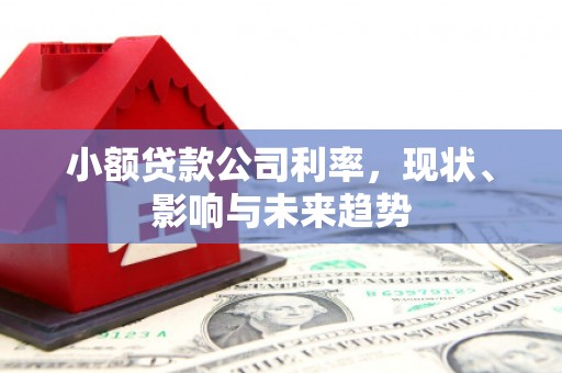 八里小额贷款公司利率，现状、影响与未来趋势