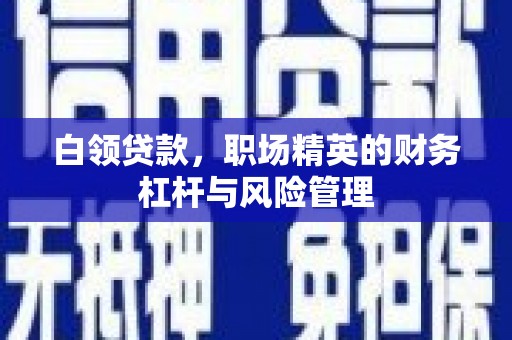 八里白领贷款，职场精英的财务杠杆与风险管理