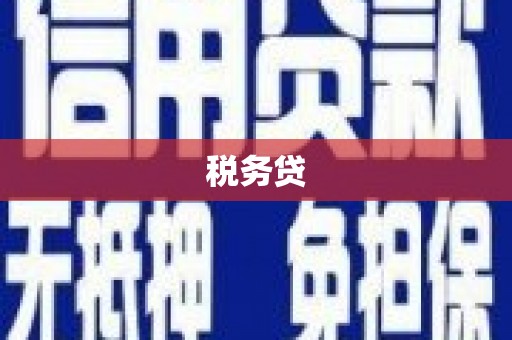 八里税务贷