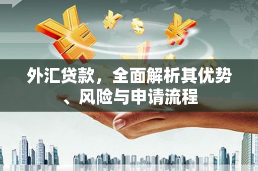八里外汇贷款，全面解析其优势、风险与申请流程