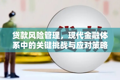 八里贷款风险管理，现代金融体系中的关键挑战与应对策略