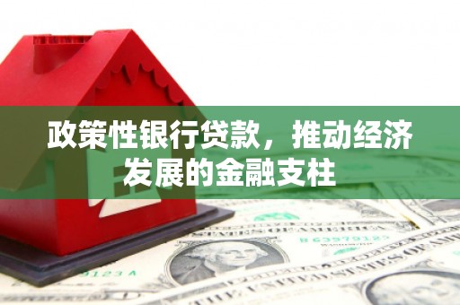 八里政策性银行贷款，推动经济发展的金融支柱