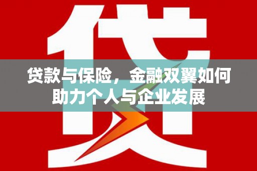八里贷款与保险，金融双翼如何助力个人与企业发展