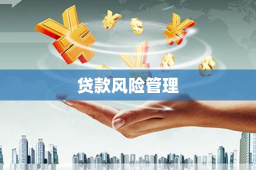 八里贷款风险管理