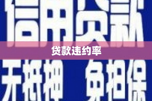 八里贷款违约率
