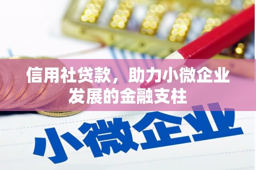 八里信用社贷款，助力小微企业发展的金融支柱