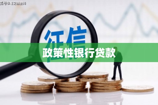 八里政策性银行贷款