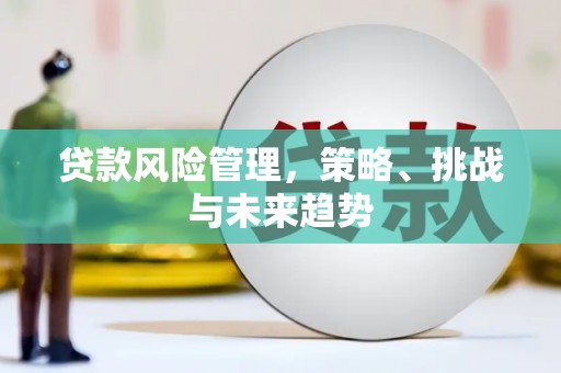 八里贷款风险管理，策略、挑战与未来趋势