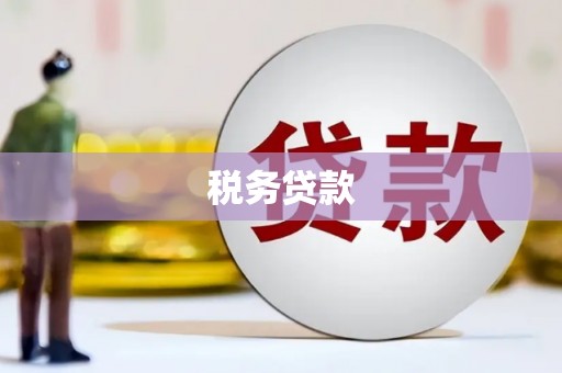 八里税务贷款