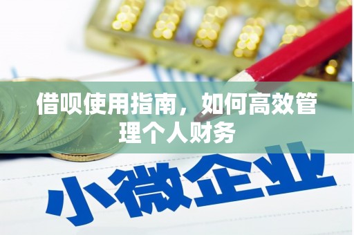 八里借呗使用指南，如何高效管理个人财务