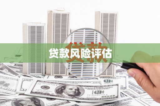 八里贷款风险评估
