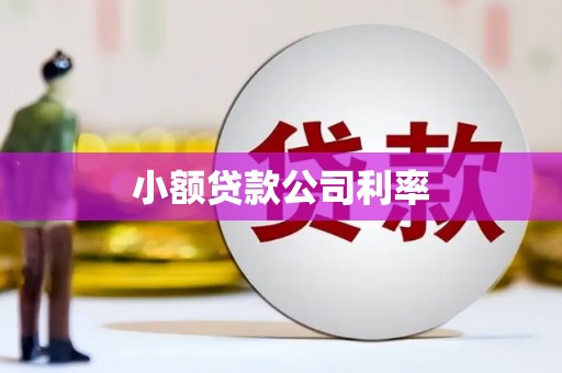 八里小额贷款公司利率