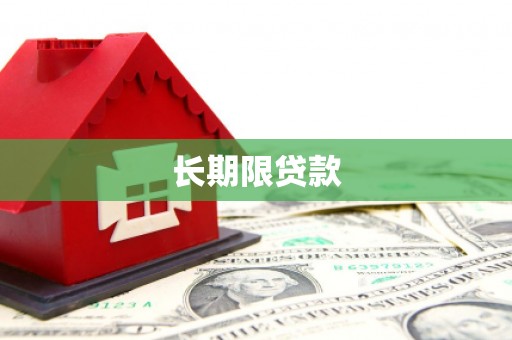 八里长期限贷款