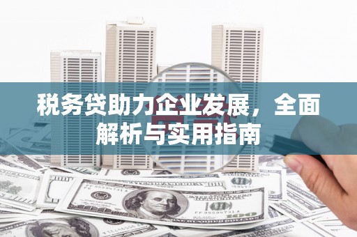 八里税务贷助力企业发展，全面解析与实用指南