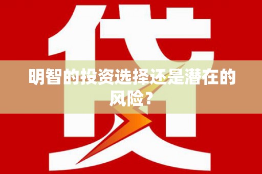 八里明智的投资选择还是潜在的风险？