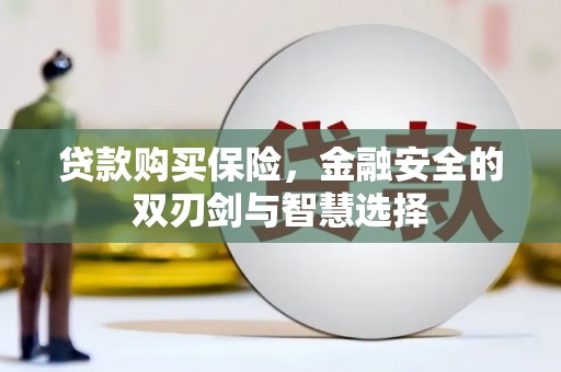 八里贷款购买保险，金融安全的双刃剑与智慧选择