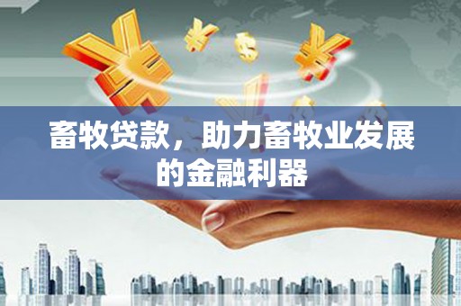 八里畜牧贷款，助力畜牧业发展的金融利器