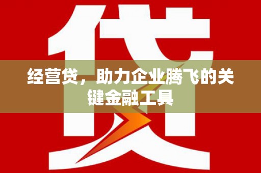 八里经营贷，助力企业腾飞的关键金融工具