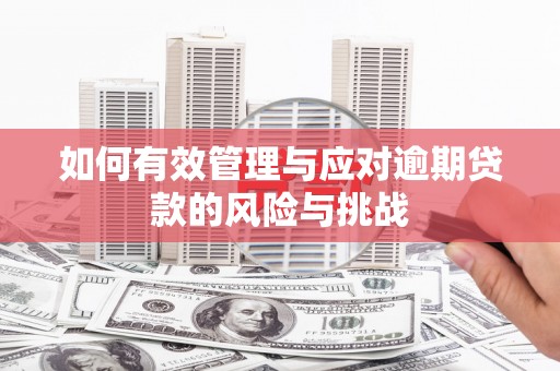 八里如何有效管理与应对逾期贷款的风险与挑战