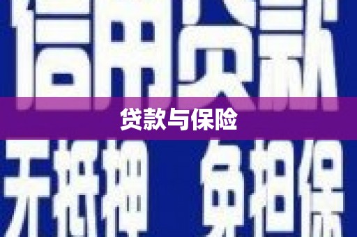 八里贷款与保险