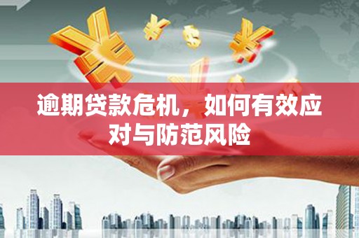 八里逾期贷款危机，如何有效应对与防范风险