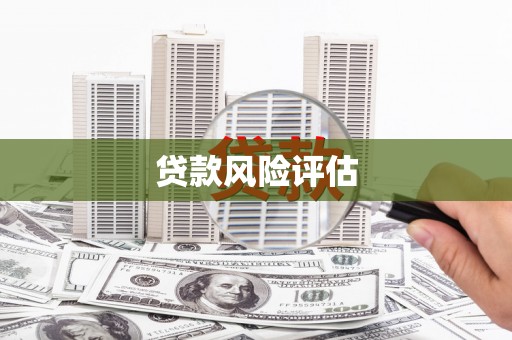 八里贷款风险评估