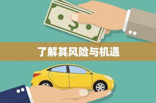 八里了解其风险与机遇
