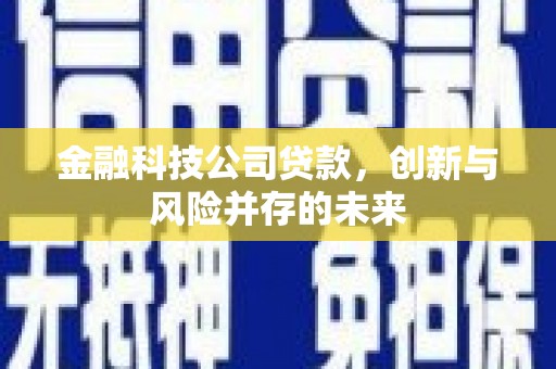 八里金融科技公司贷款，创新与风险并存的未来