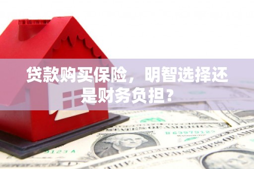 八里贷款购买保险，明智选择还是财务负担？