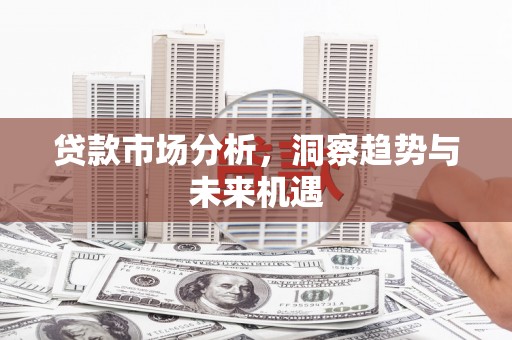 八里贷款市场分析，洞察趋势与未来机遇