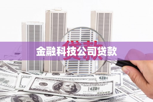八里金融科技公司贷款