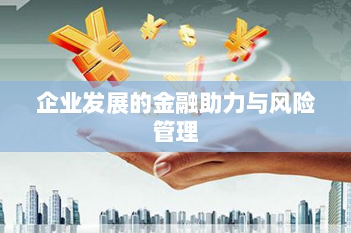 八里企业发展的金融助力与风险管理