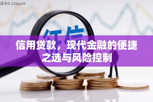 八里信用贷款，现代金融的便捷之选与风险控制
