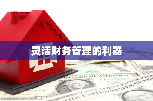 八里灵活财务管理的利器