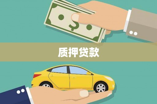 八里质押贷款