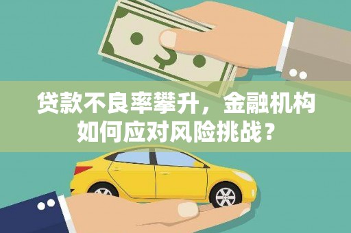 八里贷款不良率攀升，金融机构如何应对风险挑战？