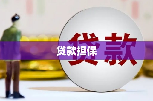 八里贷款担保