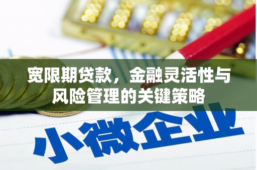 八里宽限期贷款，金融灵活性与风险管理的关键策略