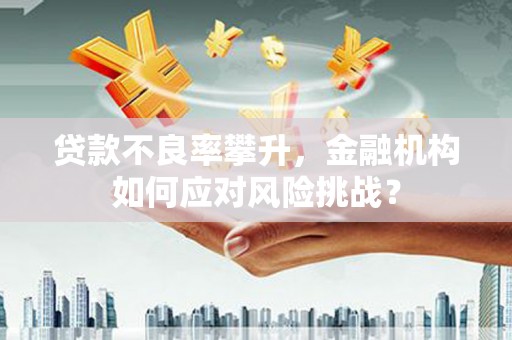 八里贷款不良率攀升，金融机构如何应对风险挑战？