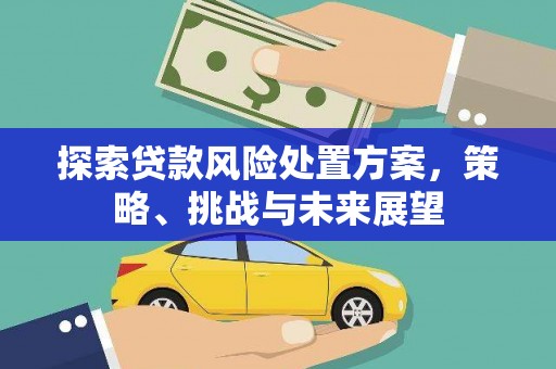 八里探索贷款风险处置方案，策略、挑战与未来展望