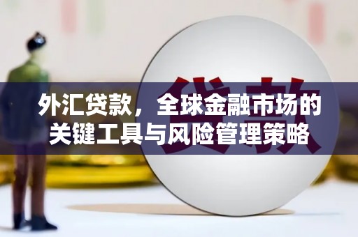 八里外汇贷款，全球金融市场的关键工具与风险管理策略
