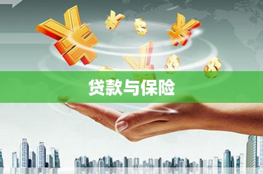 八里贷款与保险